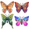 Set of four brightly coloured butterflies