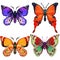 Set of four brightly coloured butterflies