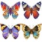 Set of four brightly coloured butterflies