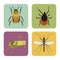 Set of four color flat insects icons