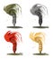 Set of four colorful tornadoes with different styles, capturing dynamic motion and natural disaster theme. Artistic