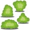 Set of four different cartoon green bushes