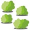 Set of four different cartoon green bushes