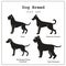 Set of four dog breeds icons