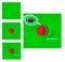 Set of four drawings - green sheet of paper, watermelon, red pencil and ruler, watermelon dreams of being an American football bal