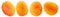 Set of four dried apricots. File contains clipping paths