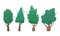 Set of four flat vector trees in cartoon style. A set for creating your own design.