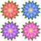 Set of four flowers of blue, red, purple, pink, isolated on white background. Suitable for design