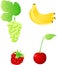 Set of four fruits