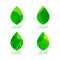 Set of four green leaf template