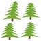 Set of four green pines on a white background