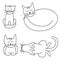 Set of four hand-drawn cats. Cute relaxed domestic cats sleep curled up in a ball and on their backs