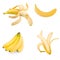 Set of four isolated bananas