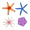 Set of four multi-colored cute starfishes