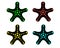 Set of four multi-colored starfish - vector clip art. Vector illustration with sea animals.