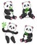 Set of four pandas with bamboo