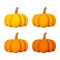 Set of four pumpkins on a white background. Vector illustration.