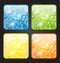 Set four seasonal icon with floral colorful backgr