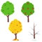 Set of four seasons trees spring, summer, autumn, winter for design vector card