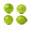 Set of four single limes in different compositions and foreshortenings, isolated over the white background