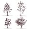 Set of four sketches trees