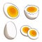 A set of four soft-boiled eggs - half, in shell, sliced and whole. Vector stock illustration in flat cartoon style on a