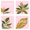 Set of four square card template. Universal trend posters with bright tropical leaves foliage on the pink background.