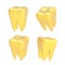 Set of four teeth isolated