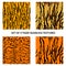 Set of four tiger seamless textures