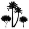 set of four tropical palm silhouettes