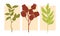 Set of four various Branches with Leaves and Flowers. Abstract elegant floral drawing.