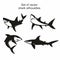 Set of four vector shark silhouettes isolated on white background, symbols, icon, design elements.