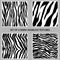 Set of four zebra seamless patterns collection