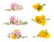 Set of fragrant freesia flowers on background