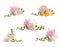 Set of fragrant freesia flowers on background