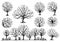 Set of free hand drawing trees, vector illustration design