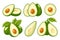 Set of fresh avocado icons isolated on white background