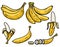 Set of the fresh banana icons. Design elements for logo, label, emblem, poster.