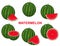 Set of fresh composition watermelon fruits isolated on white background. Summer fruits for healthy lifestyle. Organic fruit.