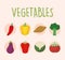 set of fresh and delicius vegetables icons