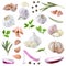 Set of fresh garlic and different seasonings on background