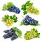 Set fresh grape fruits with green leaves