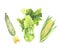 Set of fresh green vegetables isolated on white background. Zucchini, Cabbage kohlrabi, Corncob with leaf. Hand-drawn