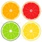 Set of fresh juicy sliced citrus fruits - orange, lemon, lime and grapefruit