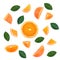 Set of fresh orange whole and cut orange and slices and leaf isolate on white background. From top view