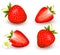 A set of fresh strawberry. Vector