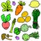 Set of fresh vegetable doodles