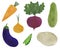 Set of fresh vegetables watercolor illustration vegetarianism ingredients cooking beetroot carrot onion zucchini eggplant potato