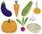 Set of fresh vegetables watercolor illustration vegetarianism ingredients cooking radish pumpkin carrot onion zucchini eggplant po