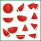 Set of fresh watermelon in various slice styles vector format